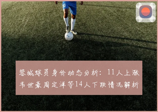 蓉城球员身价动态分析：11人上涨韦世豪周定洋等14人下跌情况解析
